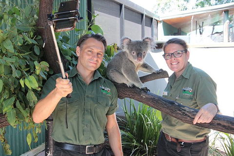 Virtual Interactive Australian Wildlife Tour With Private Guide-Wildlife Habitat - Pubs Sydney 0