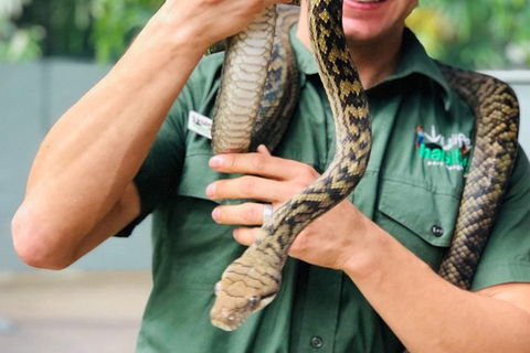 Virtual Interactive Australian Wildlife Tour With Private Guide-Wildlife Habitat - Pubs Sydney 1