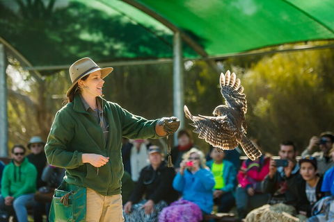 Full Day Kangaroo Island Sip And See Tour Departing From Kangaroo Island - Pubs Sydney 1