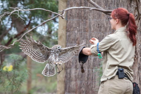 Moonlit Sanctuary Wildlife Conservation Park Daytime General Entry Ticket - Pubs Sydney 1
