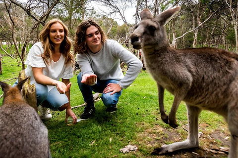 Moonlit Sanctuary Wildlife Conservation Park Daytime General Entry Ticket - Pubs Sydney 2