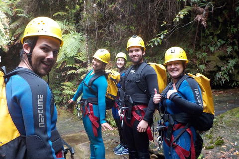 Full-Day Canyoning Experience At Stunning Empress Canyon - Pubs Sydney 1