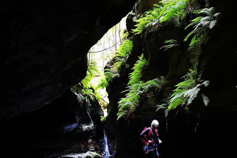 Full-Day Canyoning Experience At Stunning Empress Canyon - Pubs Sydney 2