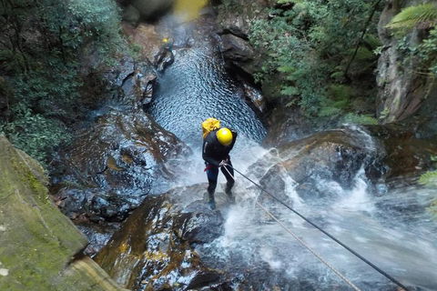 Full-Day Canyoning Experience At Stunning Empress Canyon - Pubs Sydney 4