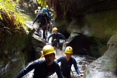 Full-Day Canyoning Experience At Stunning Empress Canyon - Pubs Sydney 5