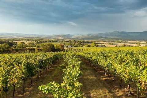 Yarra Valley Local Produce And Wine Tasting Tour - Pubs Sydney 3