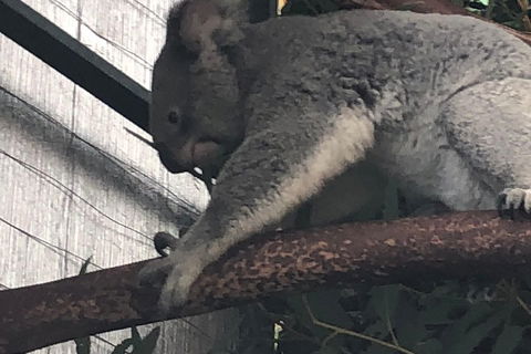 Perth Hills - Wildlife, Art & Gastronomy - Pubs Sydney 3