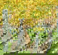 Margaret River Indulge and Discover Day Tour - Pubs Sydney