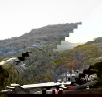 Taste of the Blue Mountains - Lunch  Wine tasting Beer Cider  Gin Tasting - Pubs Sydney