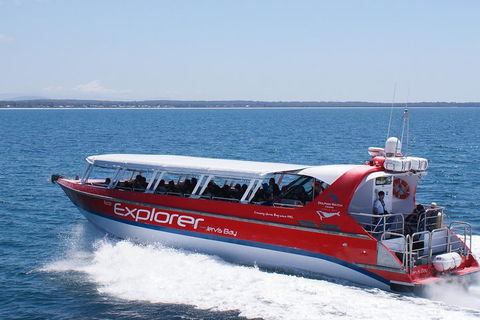Whale Watching Jervis Bay - Pubs Sydney 1