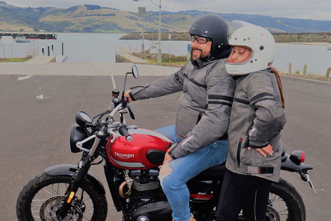 Triumph Street Scrambler 900cc - Pubs Sydney 1