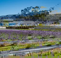 Private Hobart Discover South East Food and Scenic Tour - Pubs Sydney