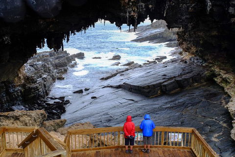 Full-Day Kangaroo Island Safari From Penneshaw - Pubs Sydney 1