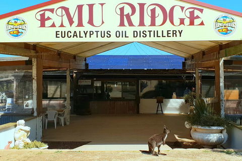 Full-Day Kangaroo Island Safari From Penneshaw - Pubs Sydney 2