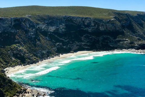 Kangaroo Island Scenic Trail Tour - Pubs Sydney 4