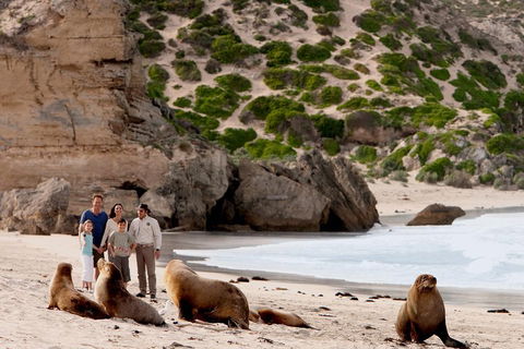 Kangaroo Island Scenic Trail Tour - Pubs Sydney 5