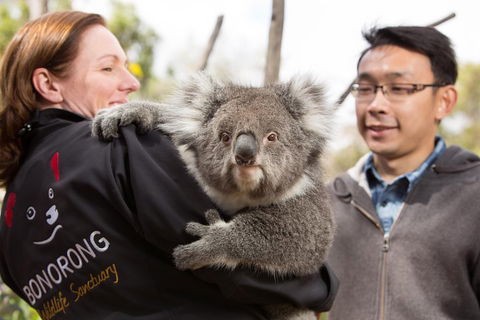 Bonorong Wildlife Park And Richmond Afternoon Tour From Hobart - Pubs Sydney 0