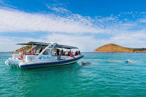 Southern Ocean Adventure From Victor Harbor - Pubs Sydney 1