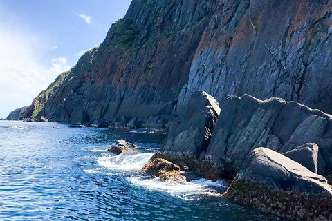 Southern Ocean Adventure From Victor Harbor - Pubs Sydney 3
