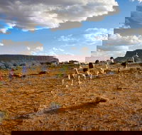 Mount Conner 4WD Small Group Tour from Ayers Rock including Dinner - Pubs Sydney
