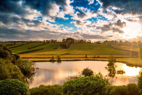 Josef Chromy Wines Winery Tour Including Tasting And Lunch - Pubs Sydney 3