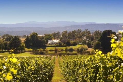 Josef Chromy Wines Winery Tour Including Tasting And Lunch - Pubs Sydney 4