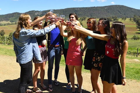Hunter Valley Wine Tour From Sydney Incl Lunch, Cheese, Chocolate And Distillery - Pubs Sydney 3
