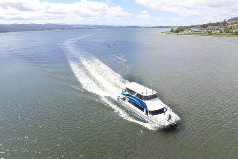 2.5 Hour Morning Discovery Cruise Including Sailing Into The Cataract Gorge - Pubs Sydney 2