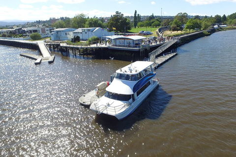2.5 Hour Morning Discovery Cruise Including Sailing Into The Cataract Gorge - Pubs Sydney 3