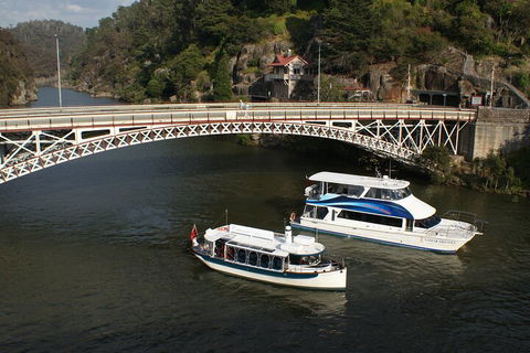 2.5 Hour Morning Discovery Cruise Including Sailing Into The Cataract Gorge - Pubs Sydney 5