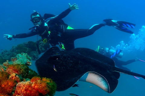Scuba Dive The S.S. Yongala Wreck On The Great Barrier Reef. - Pubs Sydney 0
