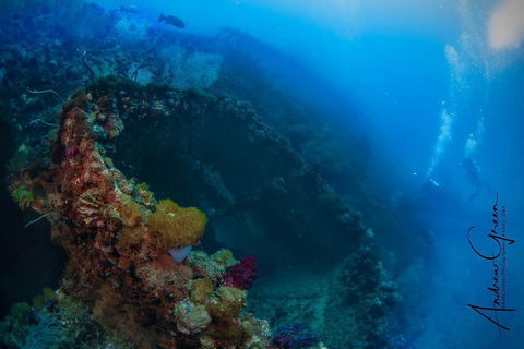Scuba Dive The S.S. Yongala Wreck On The Great Barrier Reef. - Pubs Sydney 3
