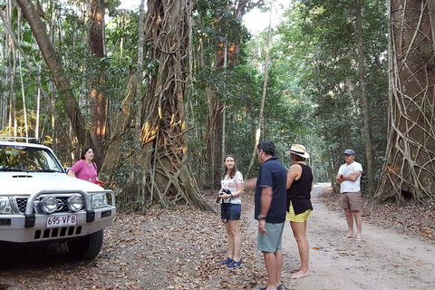 Great Beach Drive 4WD Tour - Private Charter From Noosa To Rainbow Beach - Pubs Sydney 1